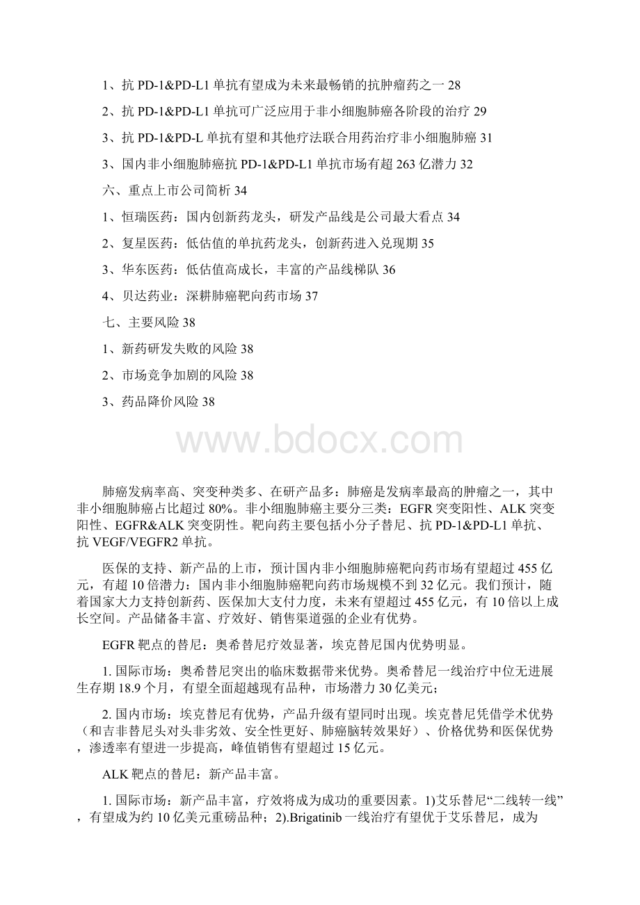 非小细胞肺癌指南靶向药行业分析报告文档格式.docx_第2页