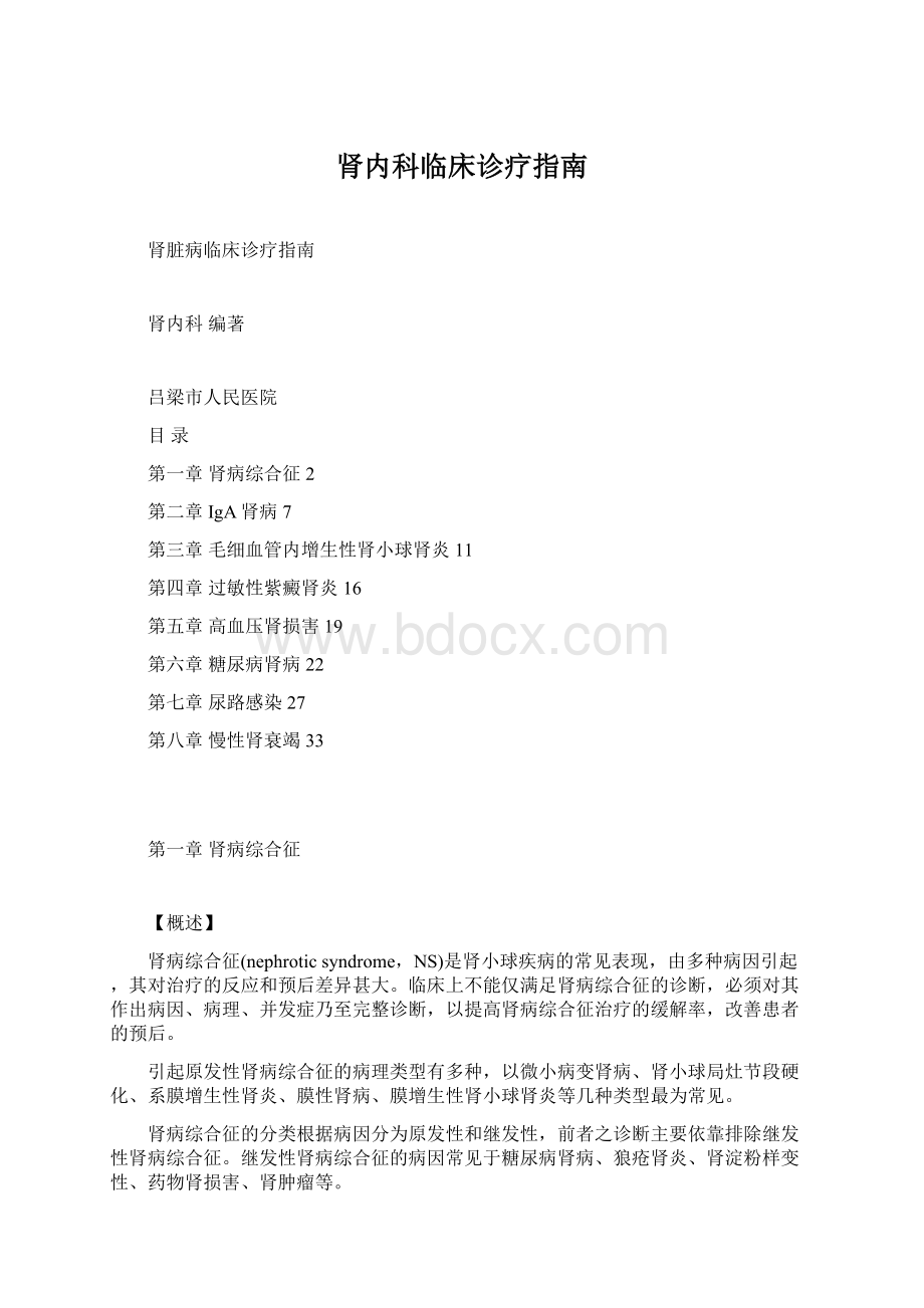 肾内科临床诊疗指南文档格式.docx