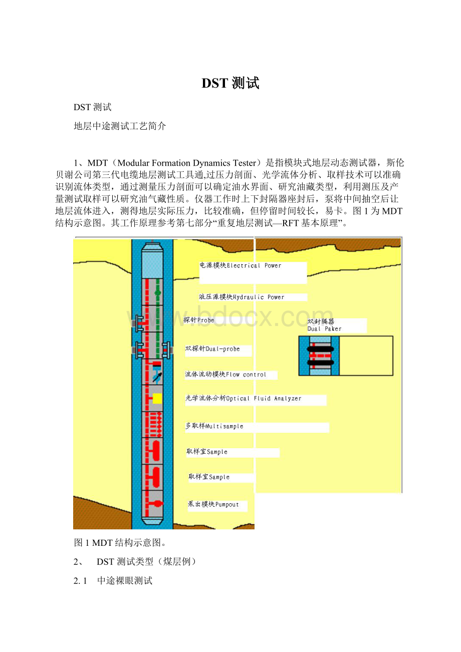 DST测试Word格式.docx