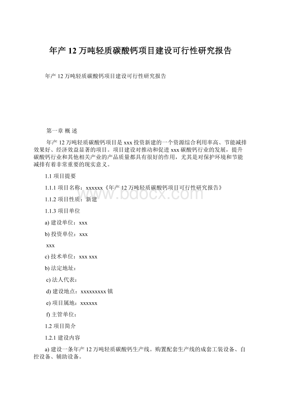 年产12万吨轻质碳酸钙项目建设可行性研究报告文档格式.docx_第1页