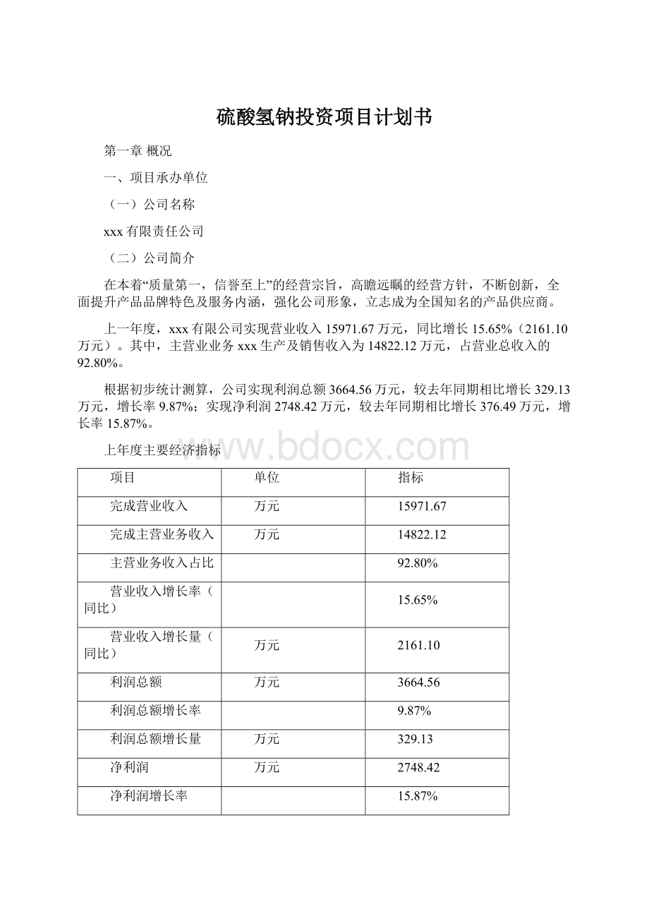 硫酸氢钠投资项目计划书.docx