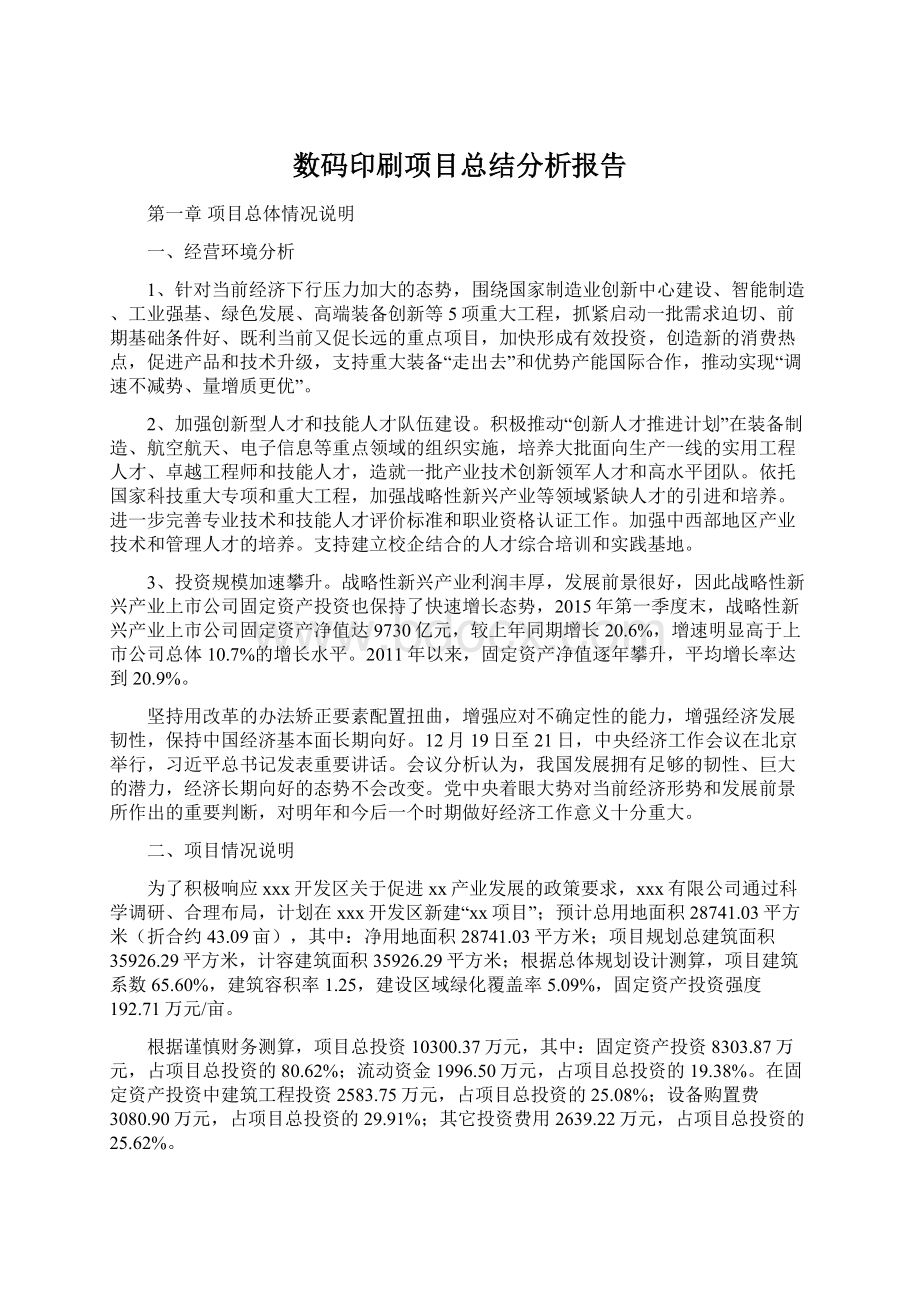 数码印刷项目总结分析报告.docx_第1页