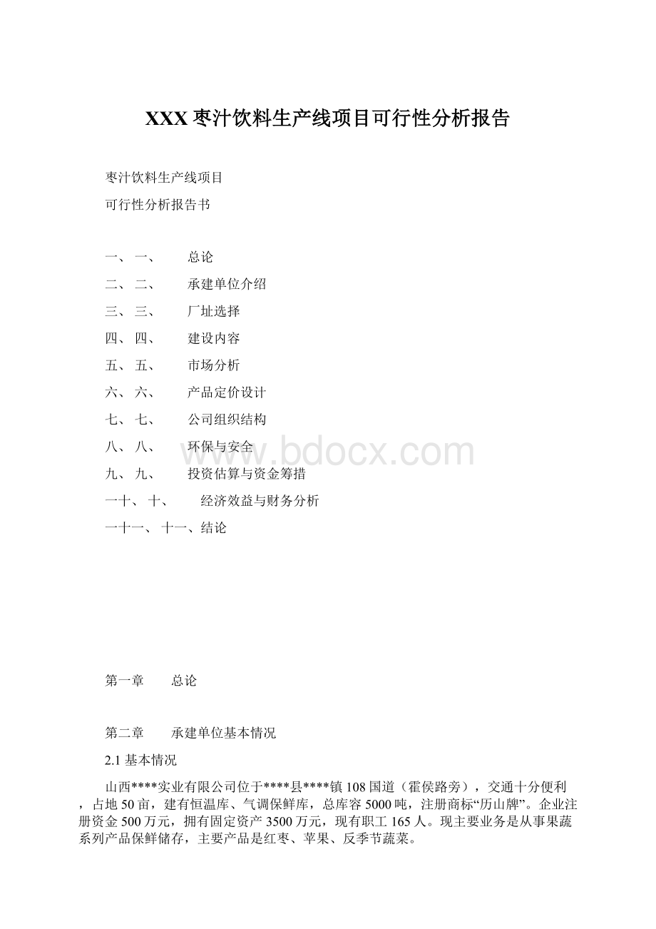 XXX枣汁饮料生产线项目可行性分析报告.docx_第1页