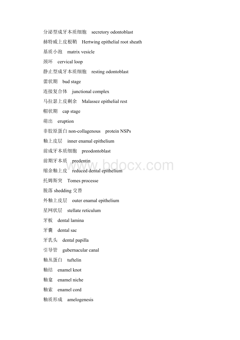 口腔医学专业英语Word文件下载.docx_第3页