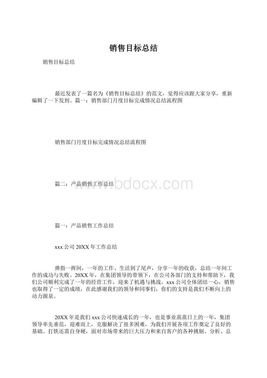 销售目标总结Word格式文档下载.docx