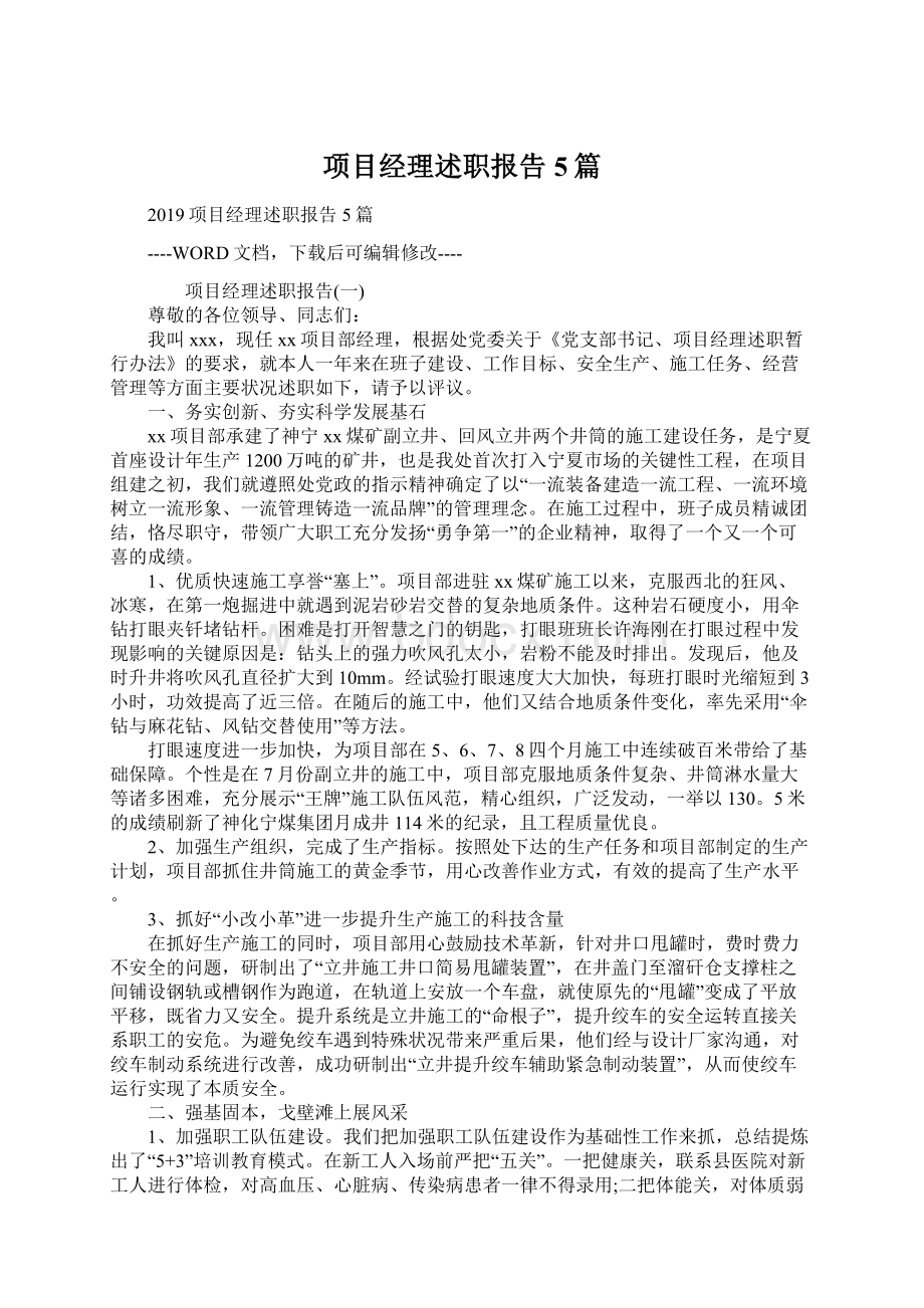 项目经理述职报告5篇.docx