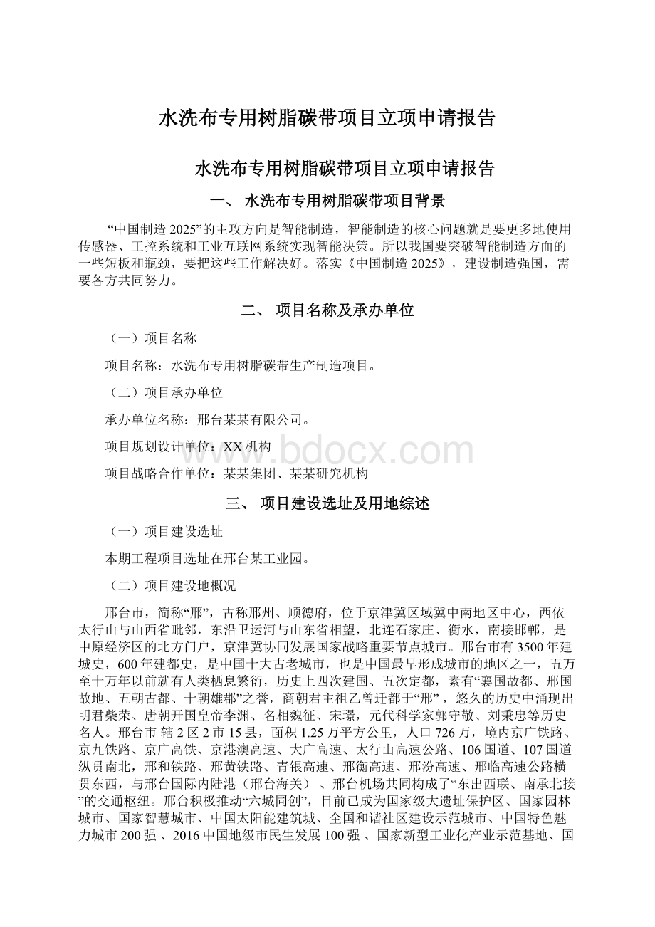 水洗布专用树脂碳带项目立项申请报告Word格式文档下载.docx_第1页