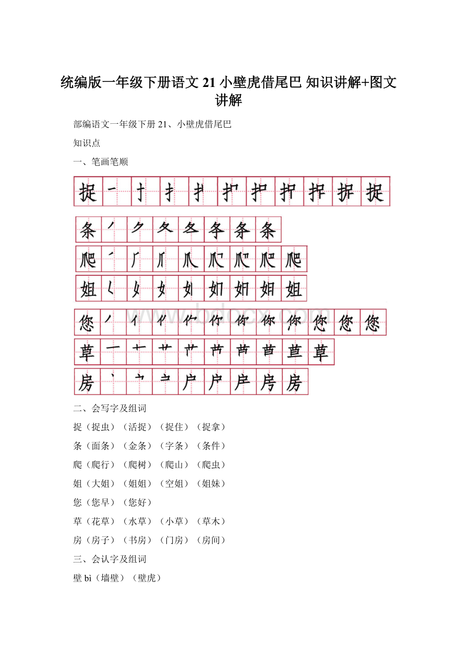 统编版一年级下册语文21小壁虎借尾巴知识讲解+图文讲解文档格式.docx