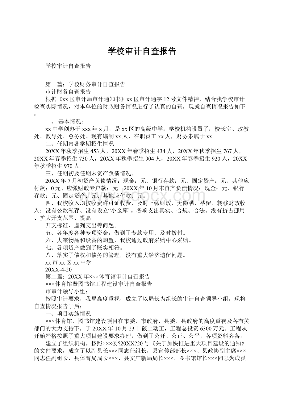 学校审计自查报告文档格式.docx