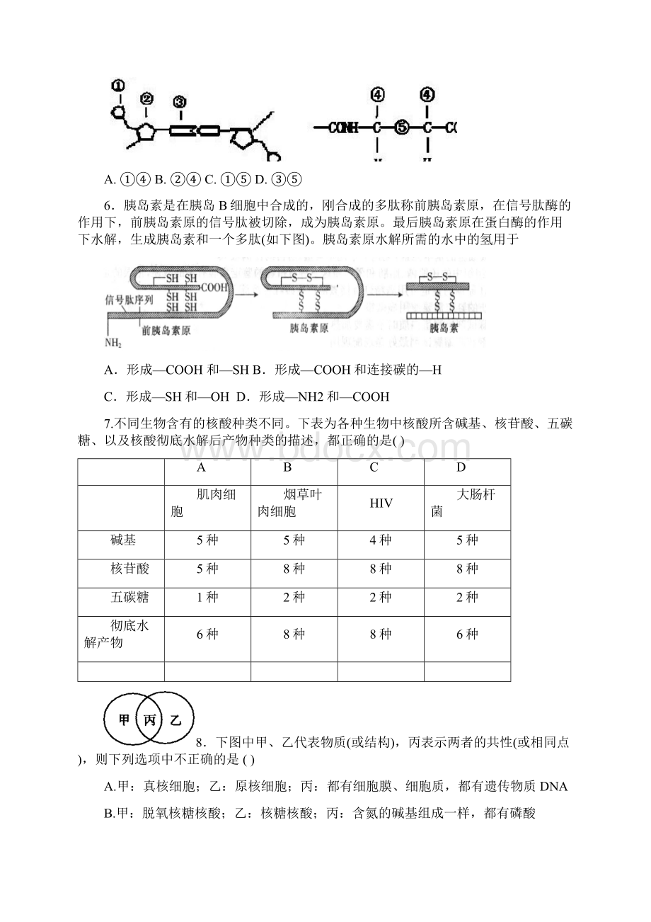 高一生物期末试题文档格式.docx_第2页