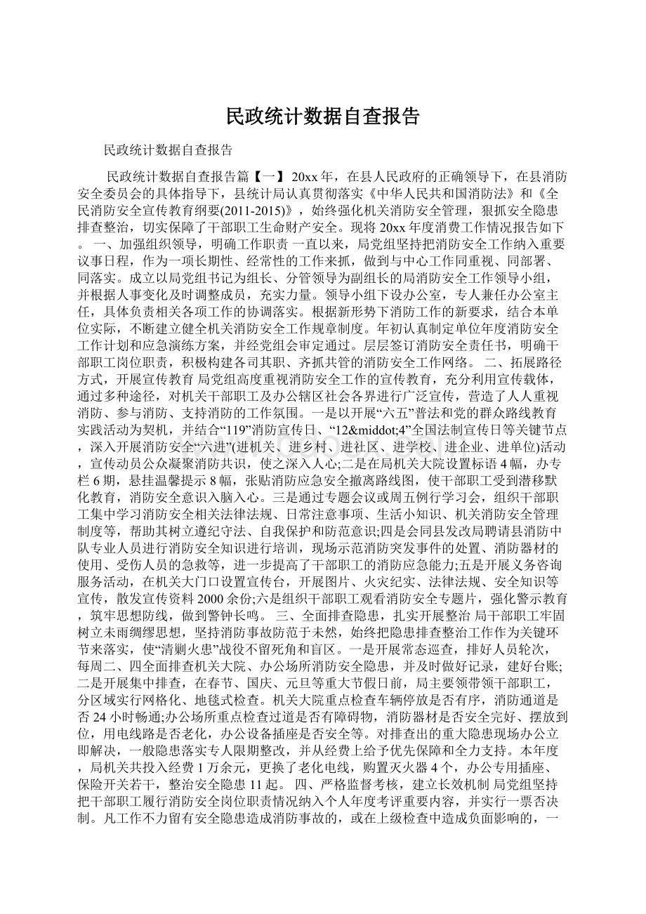 民政统计数据自查报告.docx