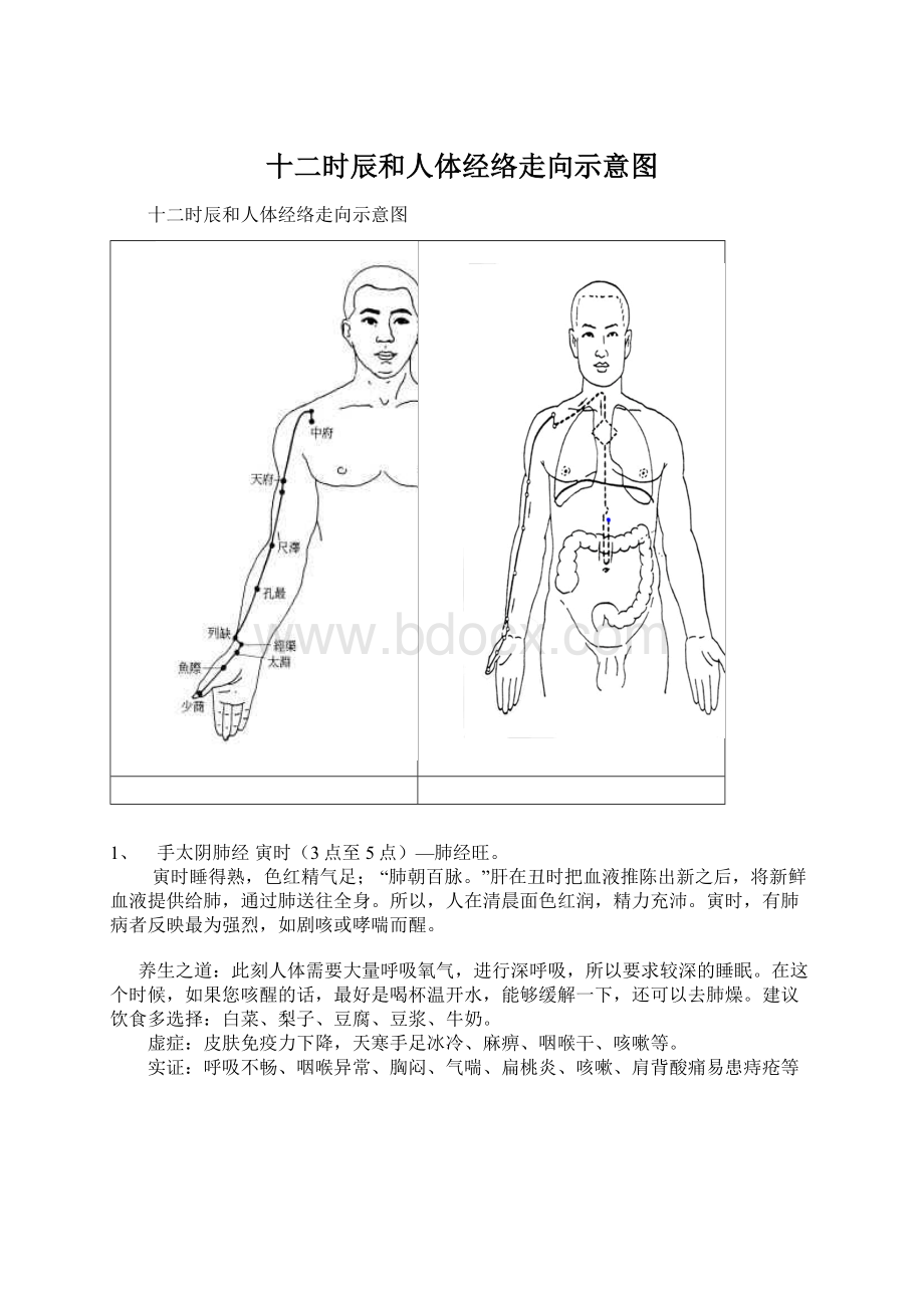 十二时辰和人体经络走向示意图Word下载.docx_第1页