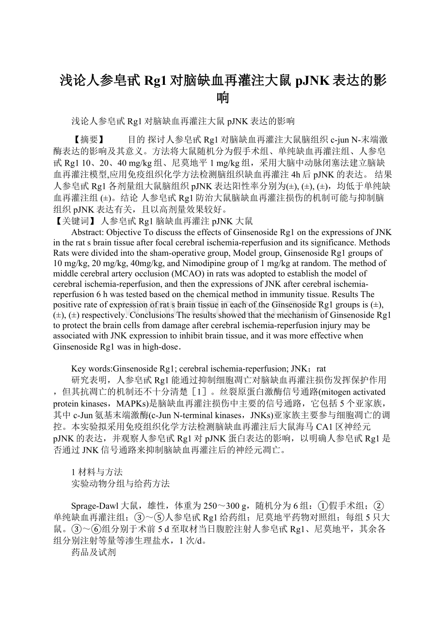 浅论人参皂甙Rg1对脑缺血再灌注大鼠pJNK表达的影响Word文档格式.docx