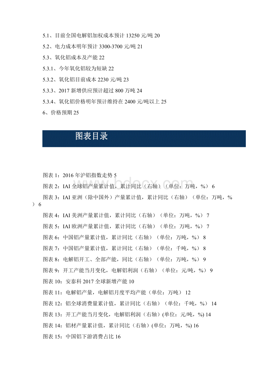 最新版中国金属铝行业分析报告.docx_第2页