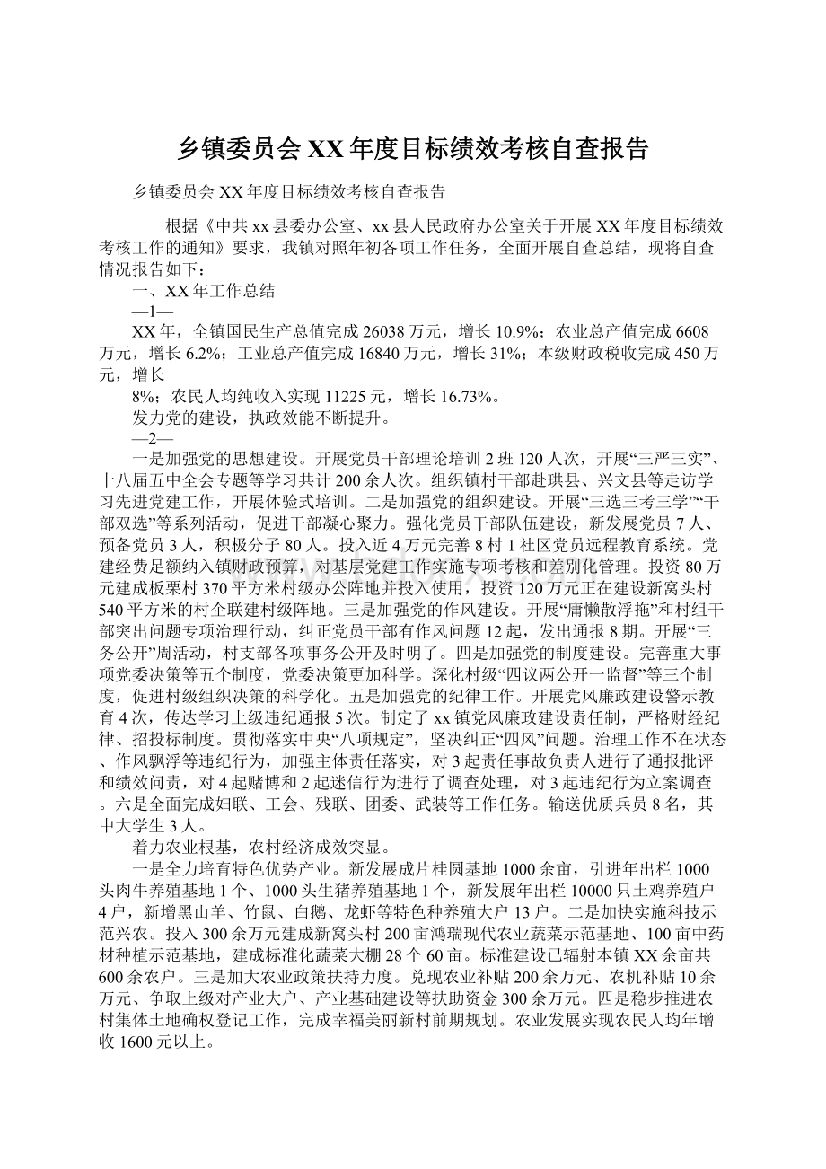 乡镇委员会XX年度目标绩效考核自查报告.docx