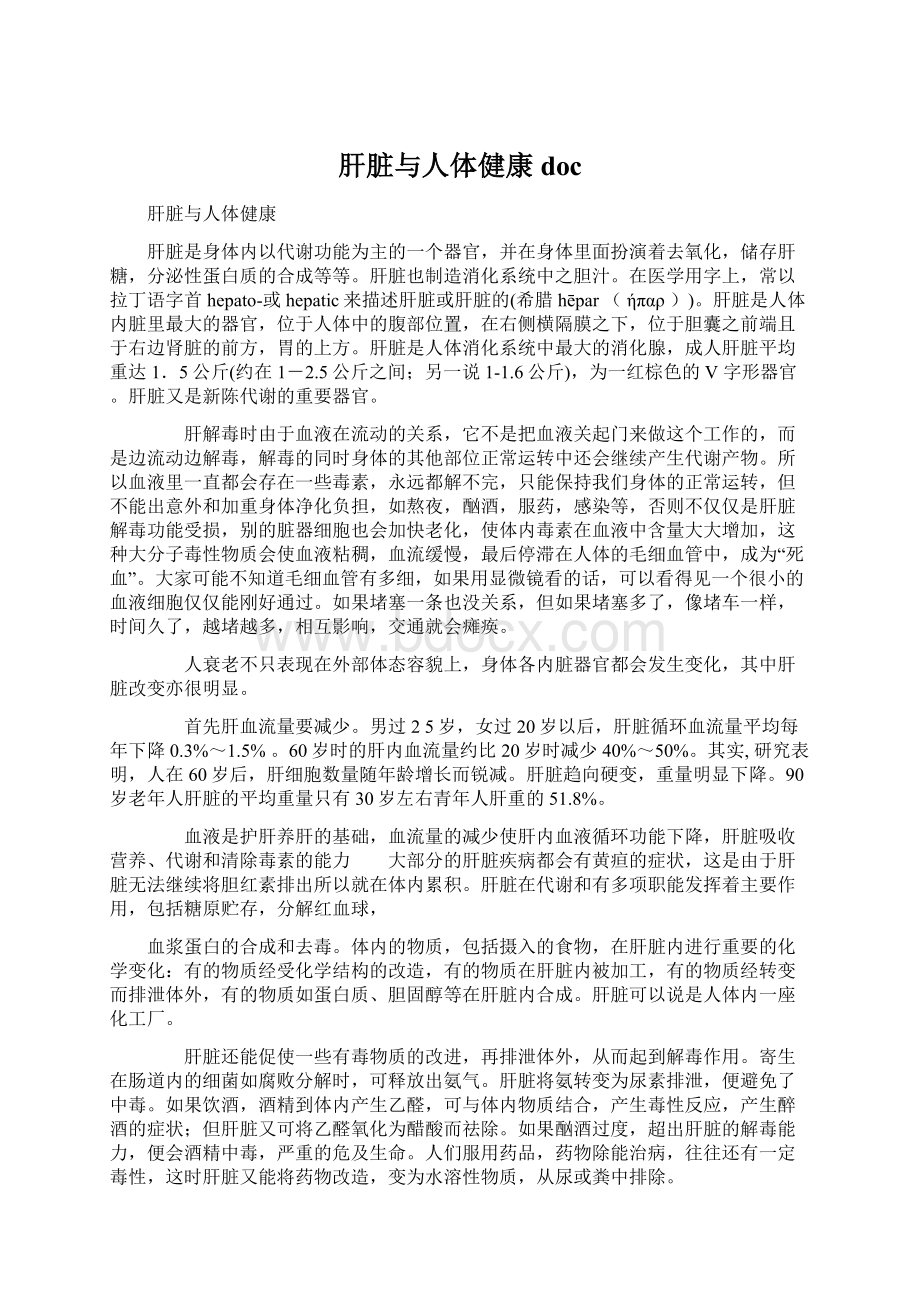 肝脏与人体健康docWord文件下载.docx