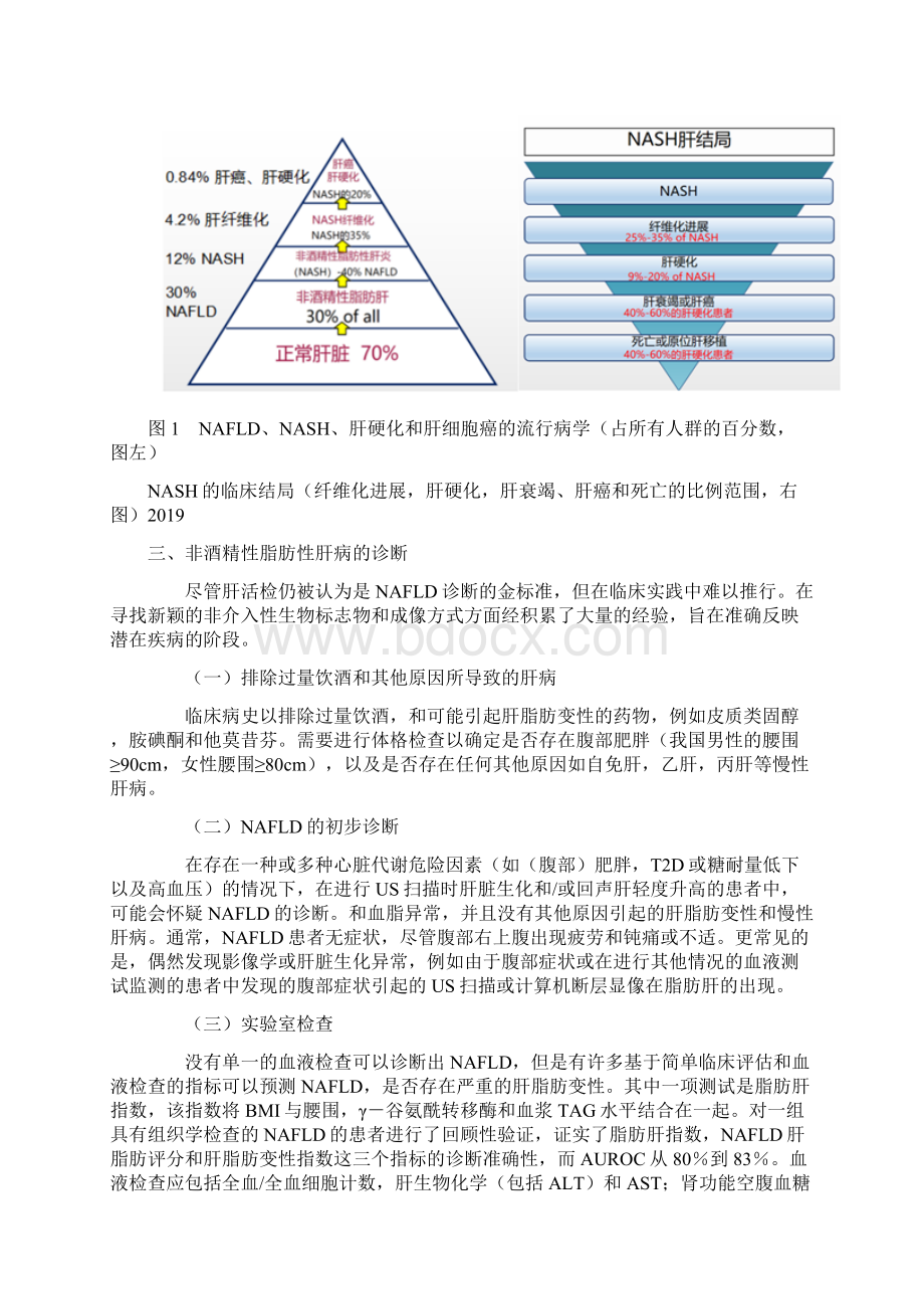 非酒精性脂肪性肝病与慢性病全文Word格式文档下载.docx_第3页