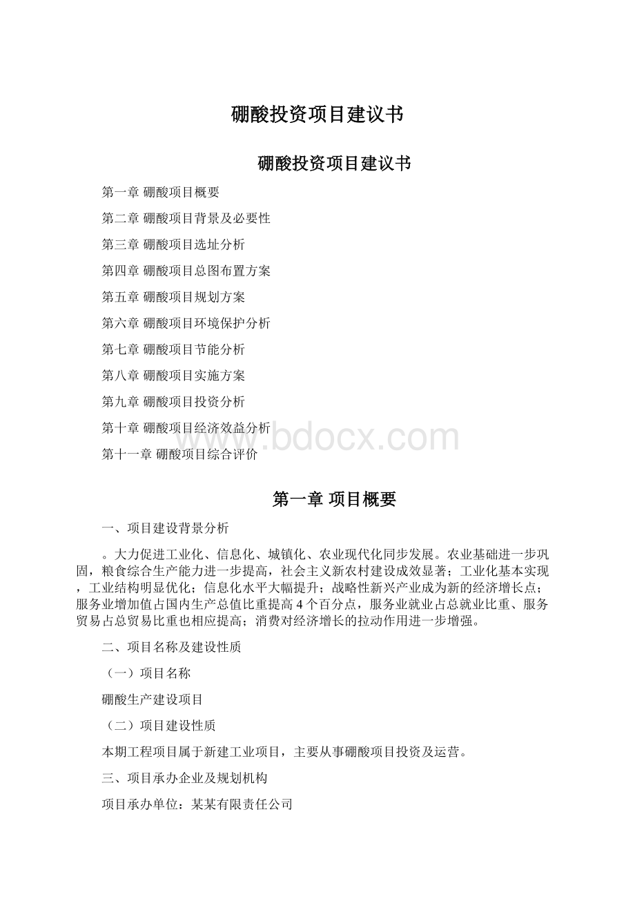 硼酸投资项目建议书Word文件下载.docx