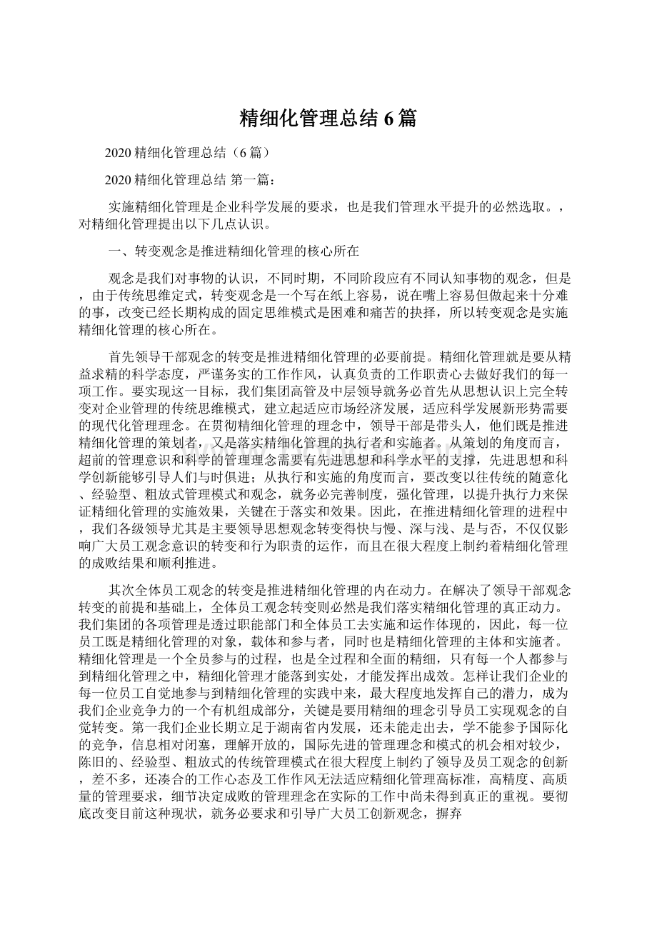 精细化管理总结6篇文档格式.docx