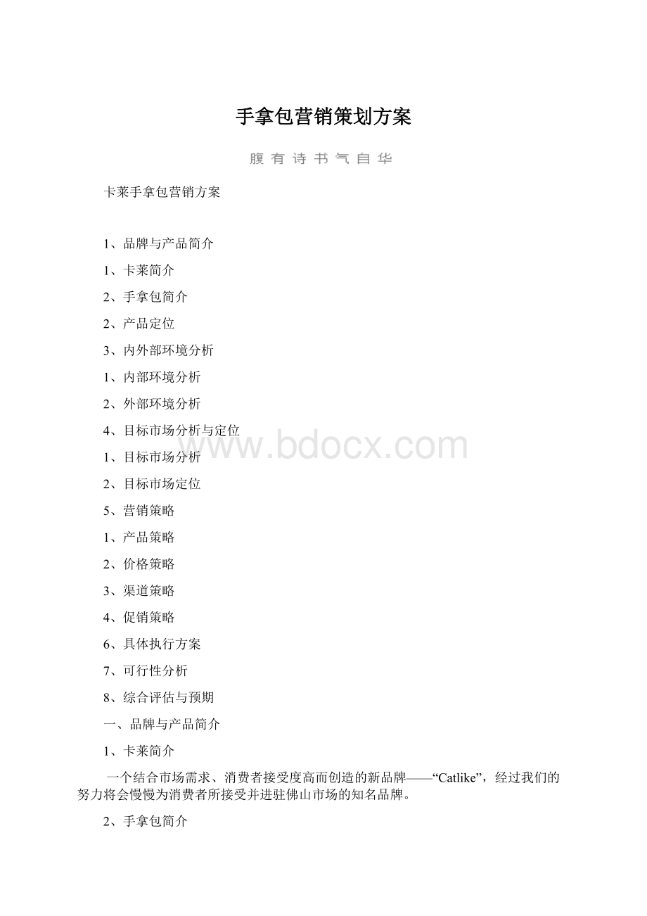 手拿包营销策划方案Word格式文档下载.docx_第1页