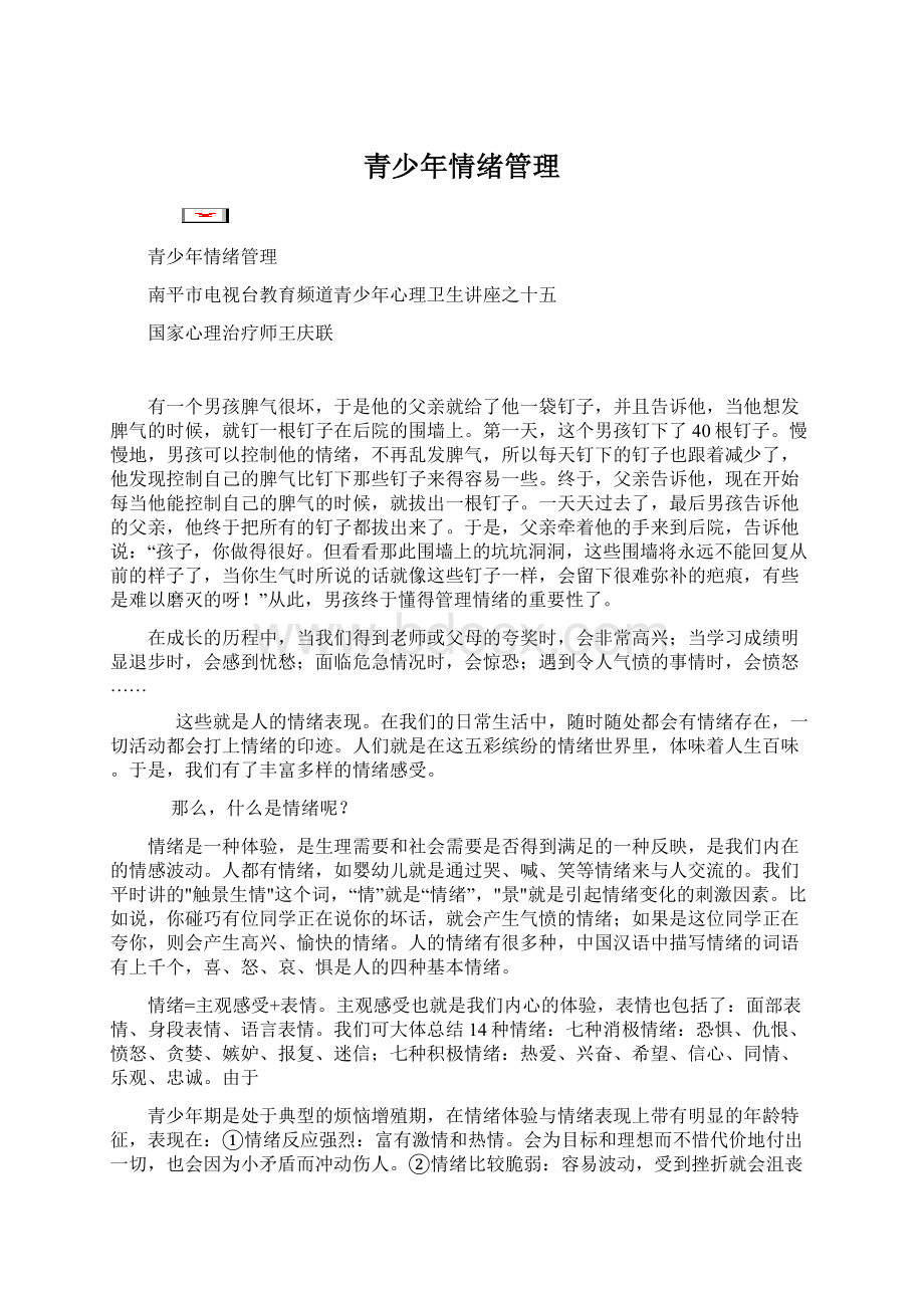 青少年情绪管理文档格式.docx