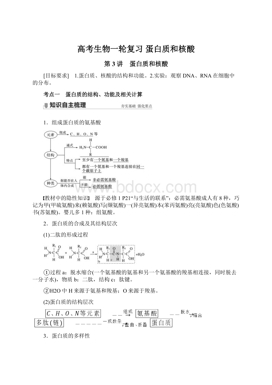 高考生物一轮复习 蛋白质和核酸.docx_第1页