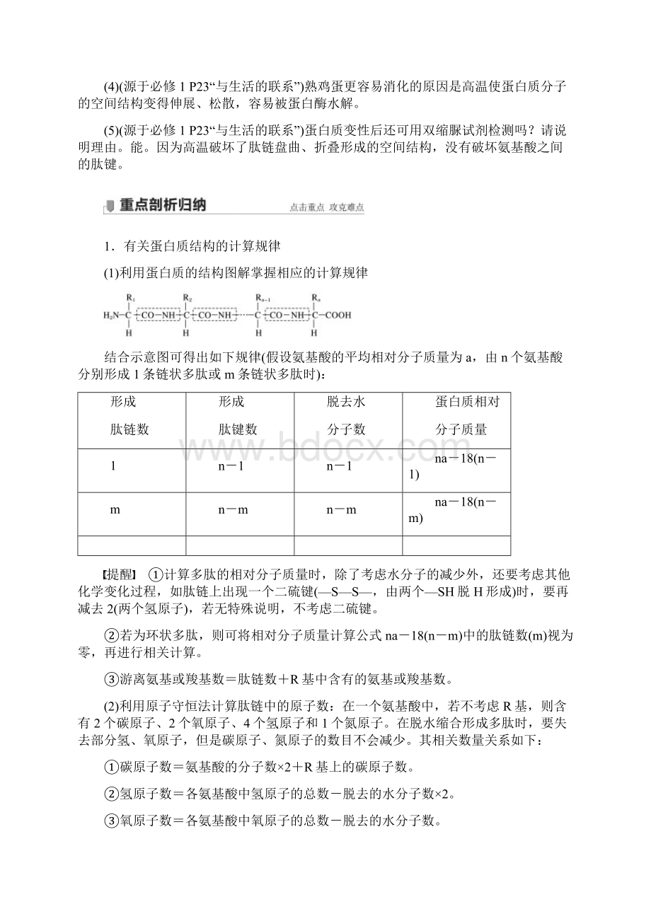 高考生物一轮复习 蛋白质和核酸.docx_第3页