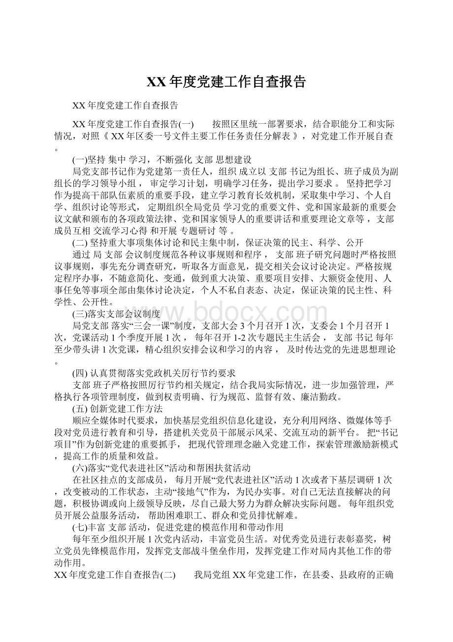 XX年度党建工作自查报告文档格式.docx