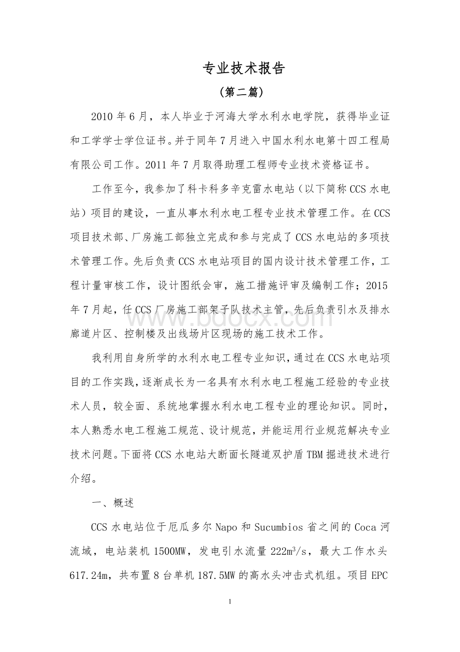 评定工程师职称专业技术报告Word文件下载.doc_第1页