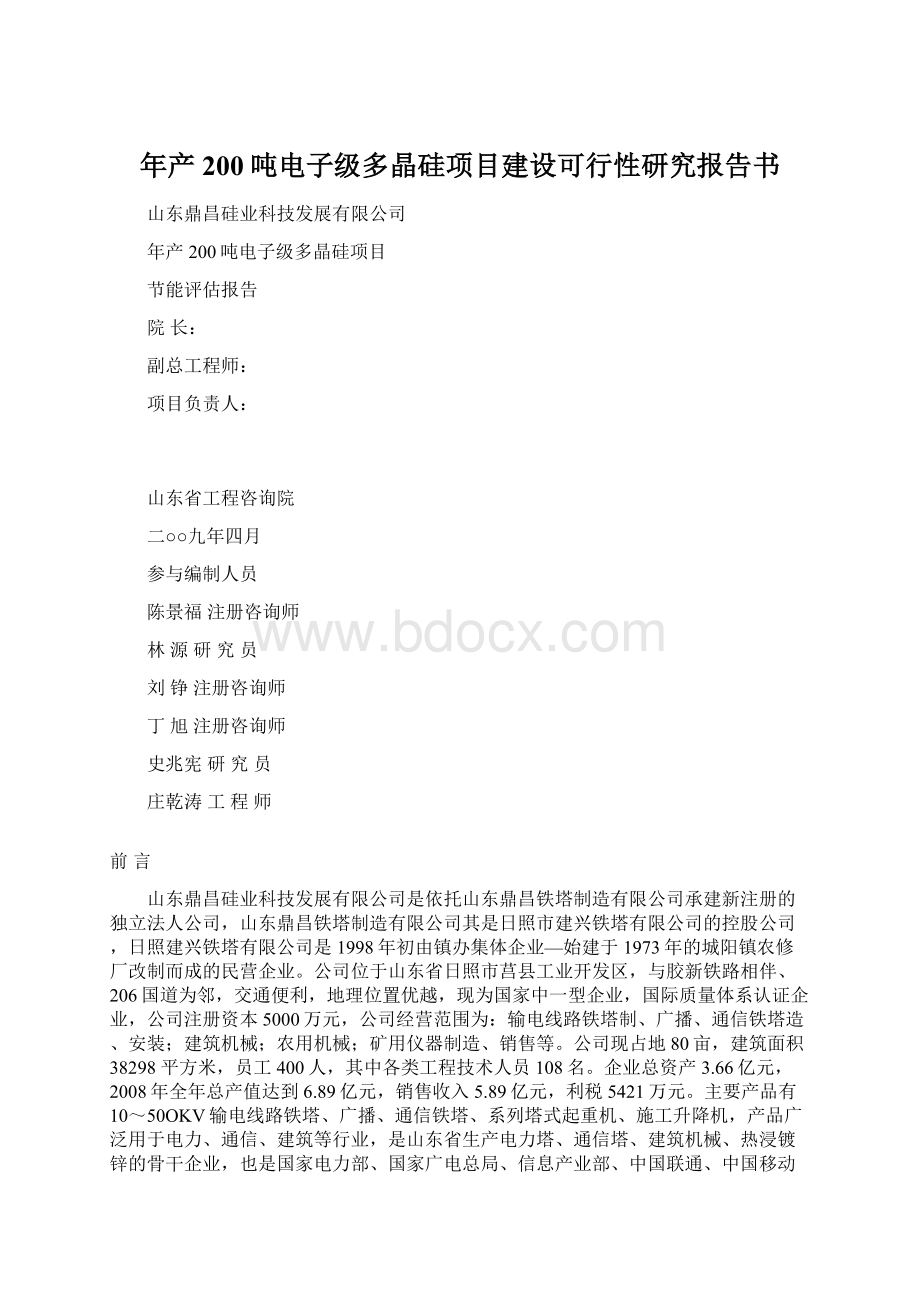 年产200吨电子级多晶硅项目建设可行性研究报告书Word文档格式.docx