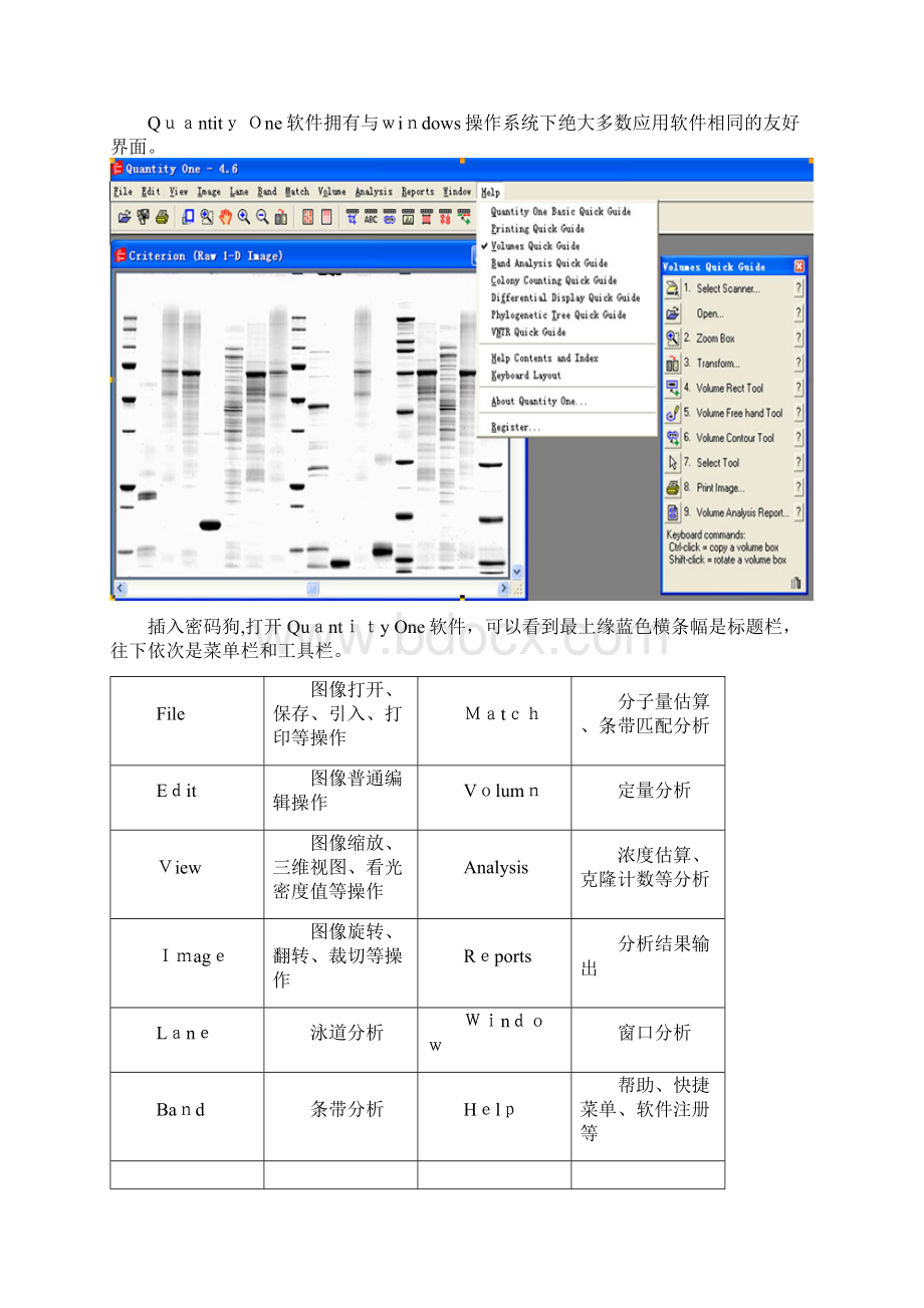 凝胶成像及QuantityOne中文操作说明Word文件下载.docx_第2页