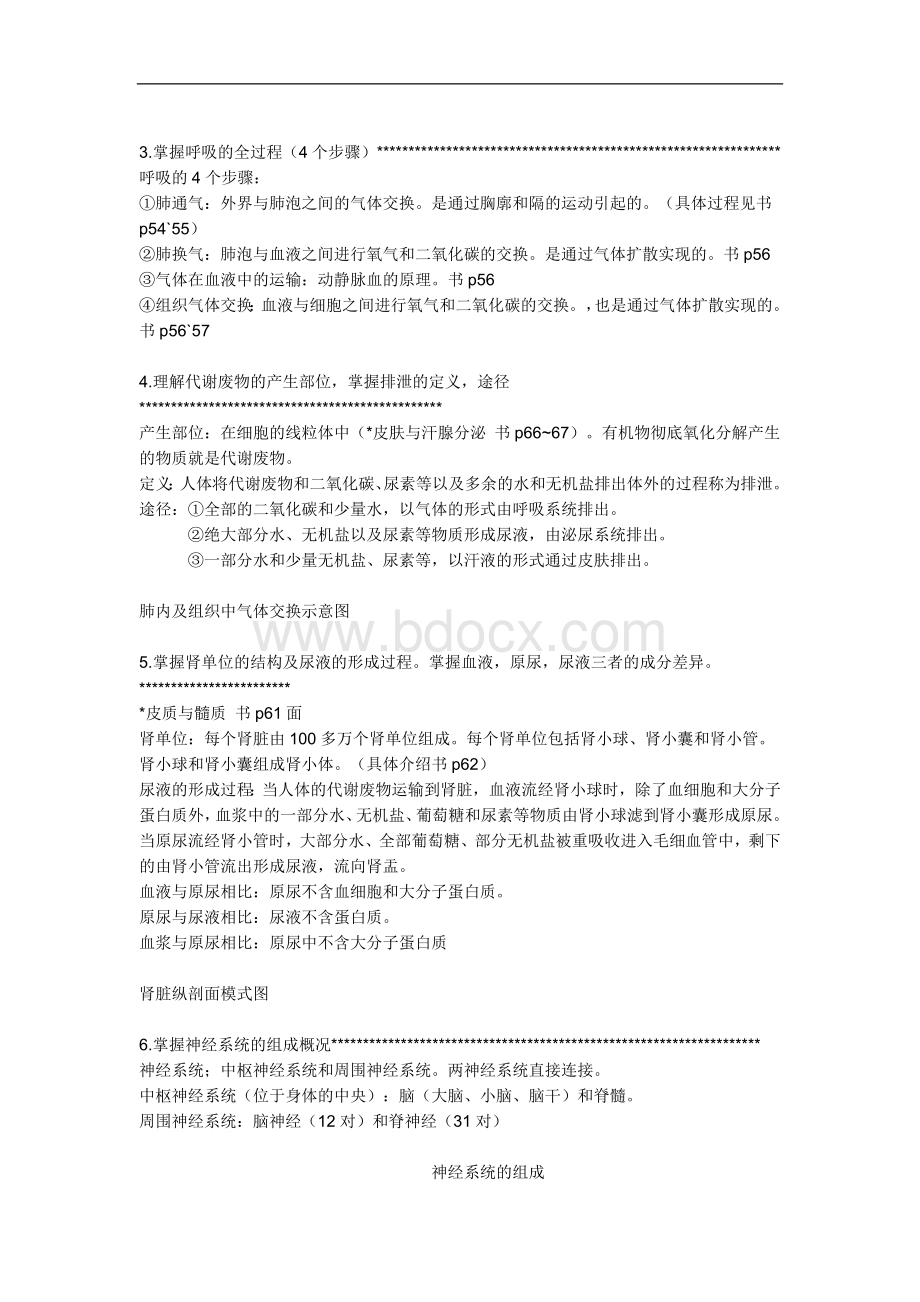 初一下学期生物总复习资料文档格式.doc_第2页