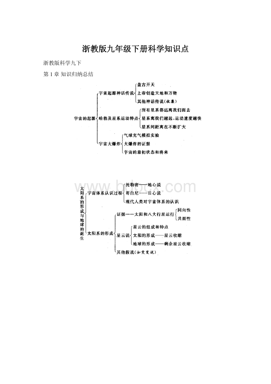 浙教版九年级下册科学知识点文档格式.docx_第1页