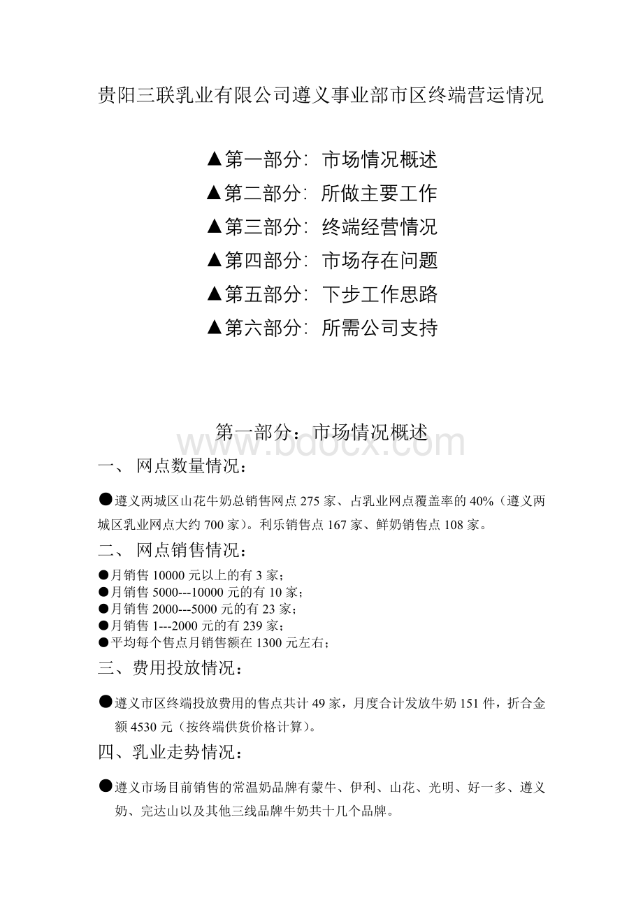 终端汇报模板文档格式.doc_第1页