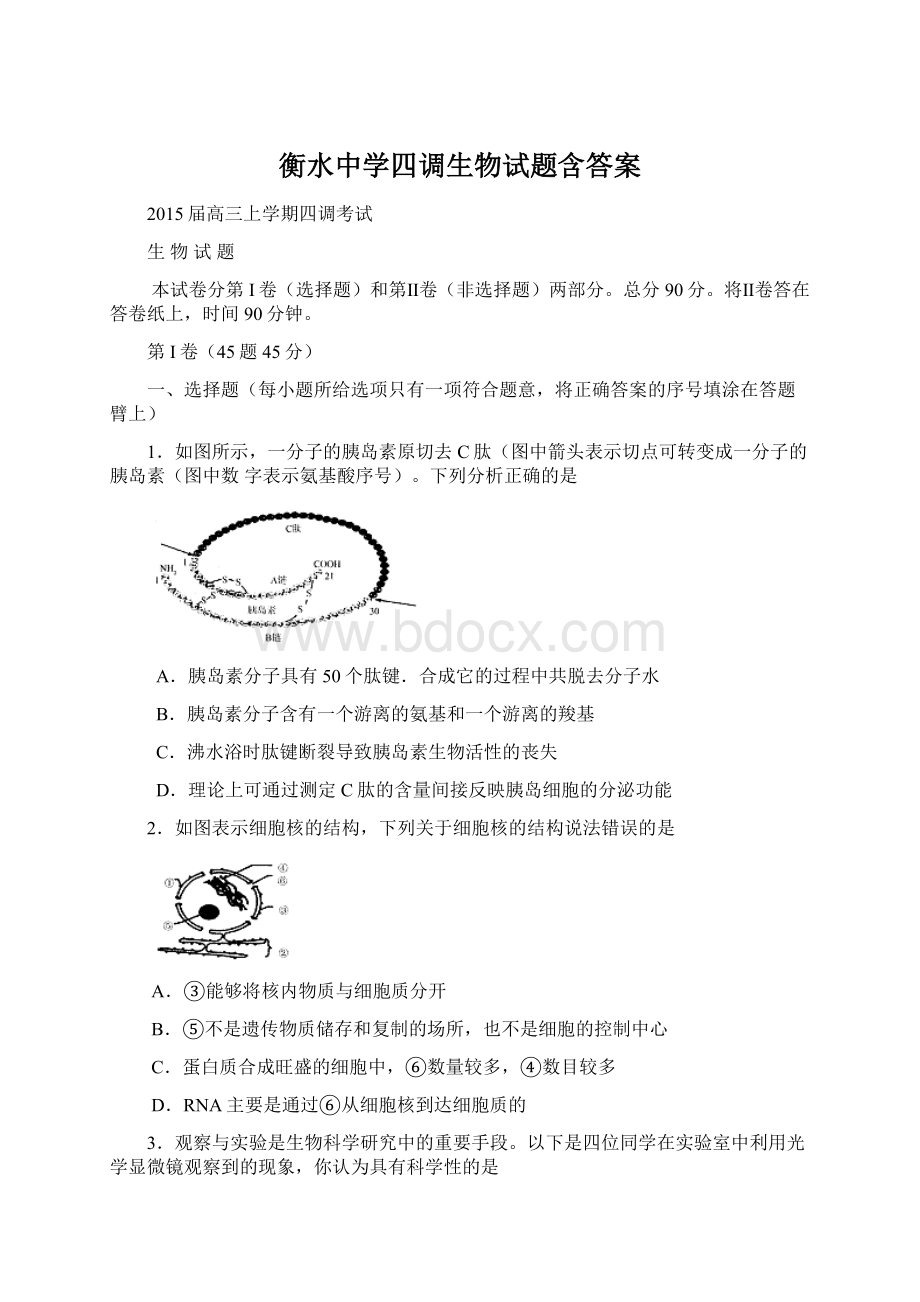 衡水中学四调生物试题含答案.docx