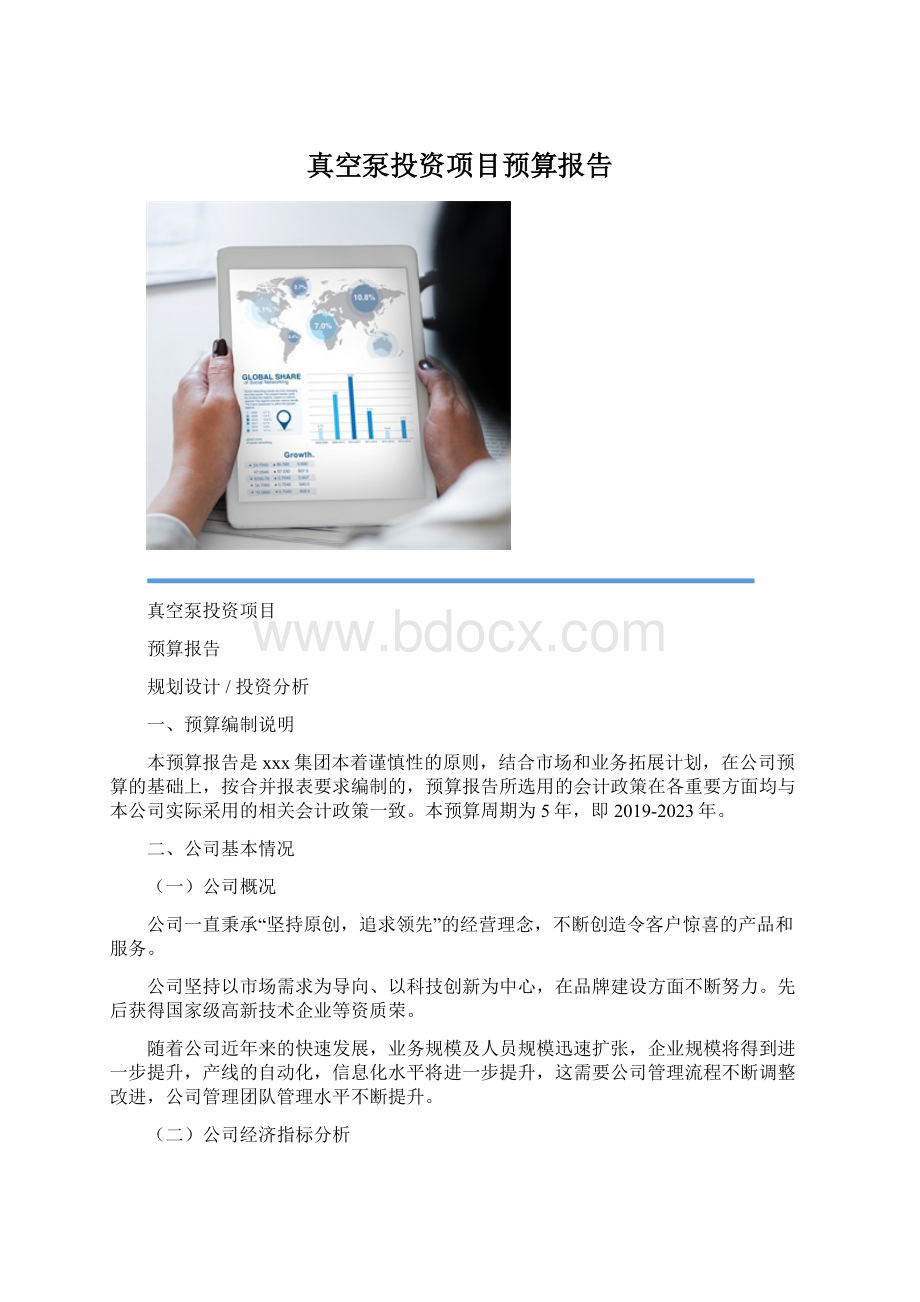 真空泵投资项目预算报告.docx