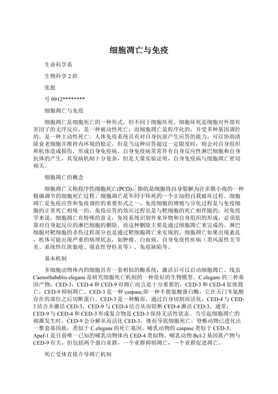 细胞凋亡与免疫Word格式.docx_第1页