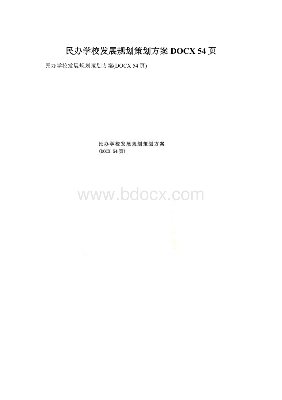 民办学校发展规划策划方案DOCX 54页.docx
