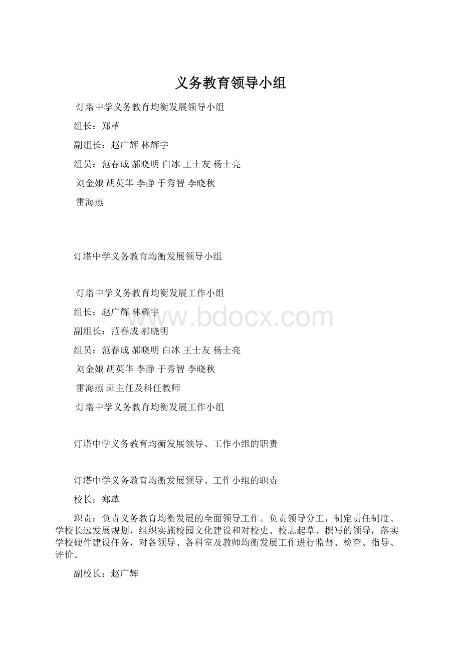 义务教育领导小组Word格式文档下载.docx_第1页