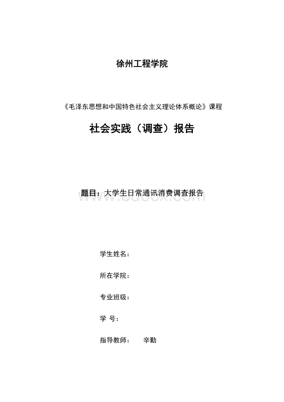 毛概作业：社会实践报告Word文档下载推荐.docx