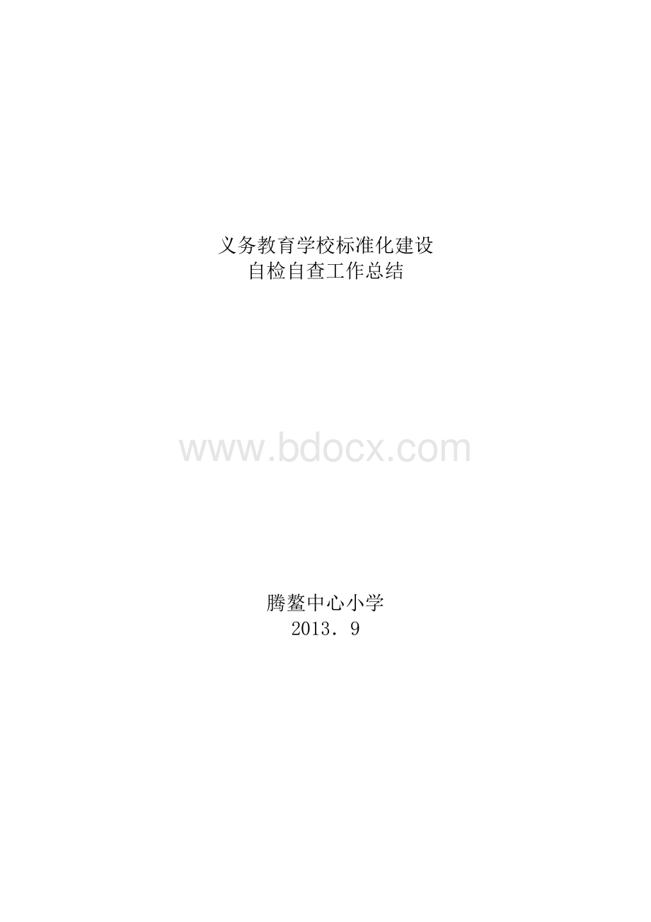 标准化建设自检自查报告.doc