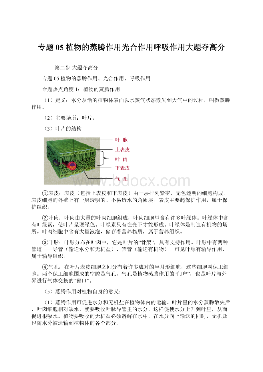 专题05 植物的蒸腾作用光合作用呼吸作用大题夺高分Word格式文档下载.docx_第1页