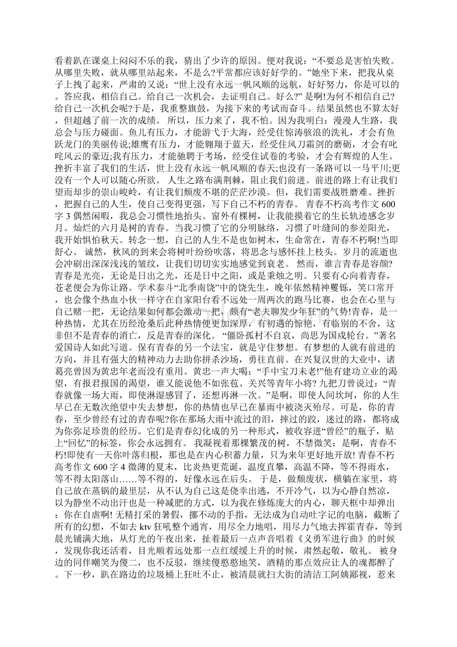 青春不朽高考优秀作文600字Word文档格式.docx_第2页