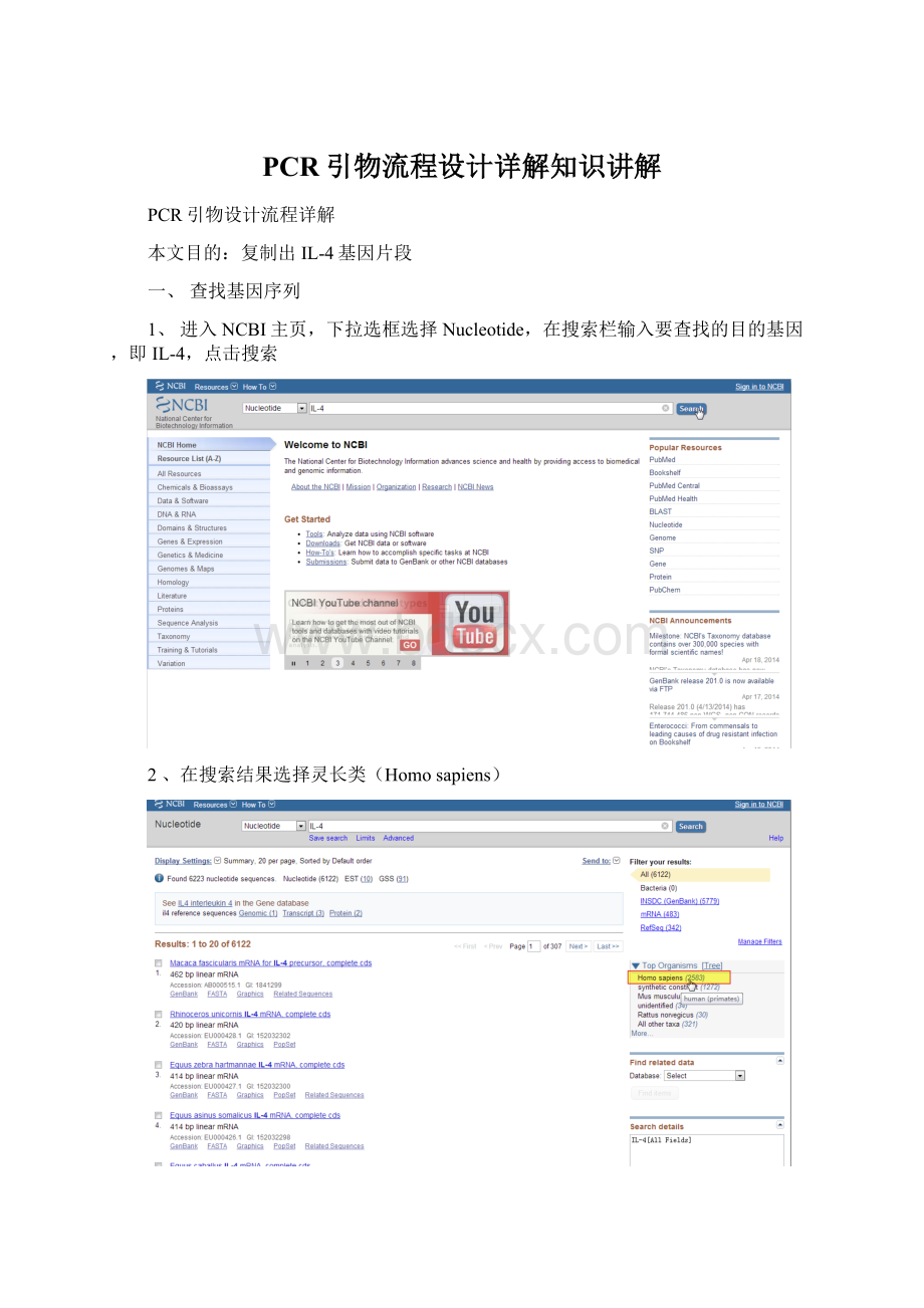 PCR引物流程设计详解知识讲解.docx_第1页