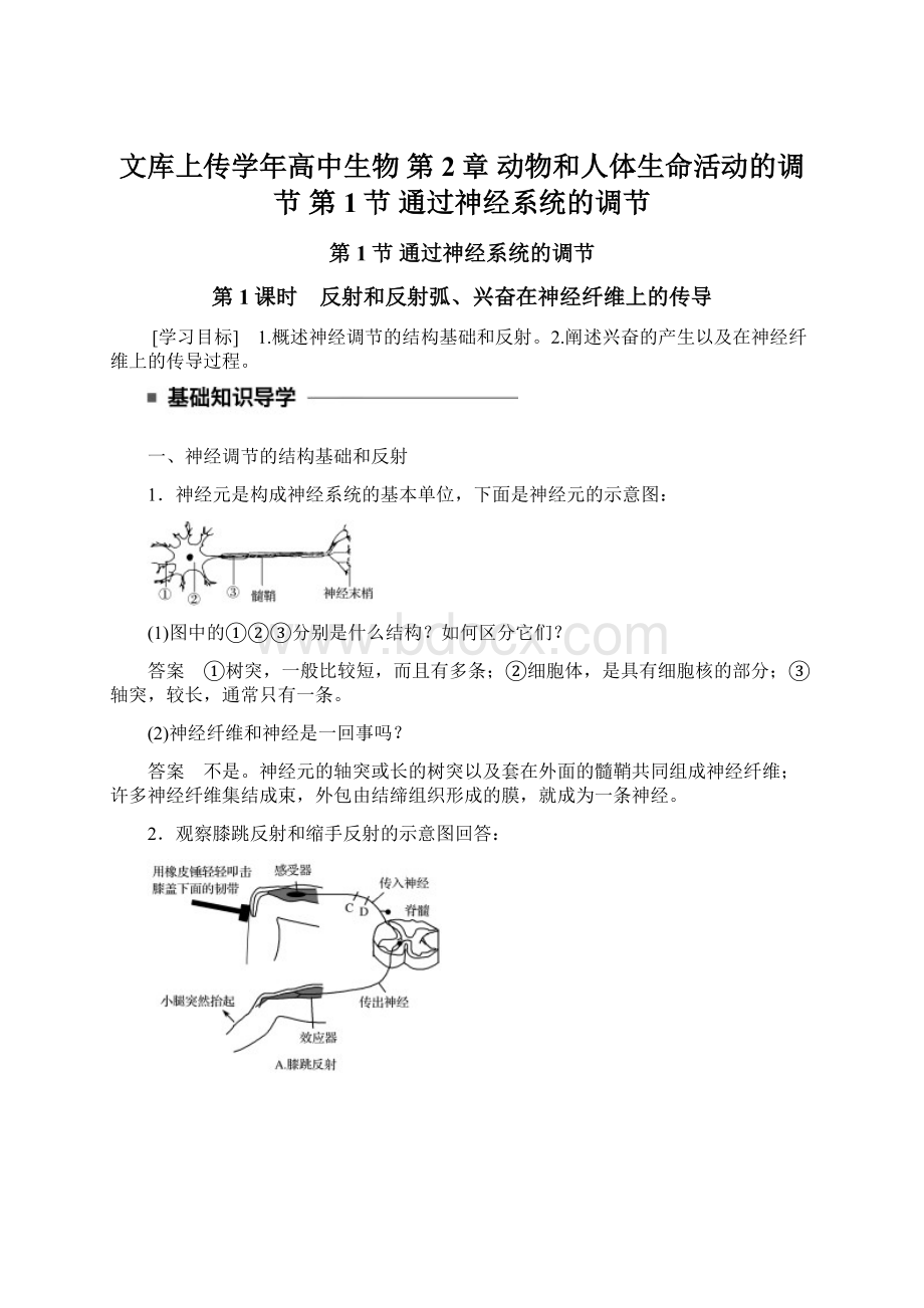 文库上传学年高中生物 第2章 动物和人体生命活动的调节 第1节 通过神经系统的调节.docx