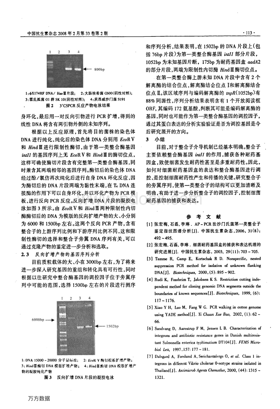 反向PCR法扩增沙门菌第一类整合子旁翼基因序列_精品文档.pdf_第3页