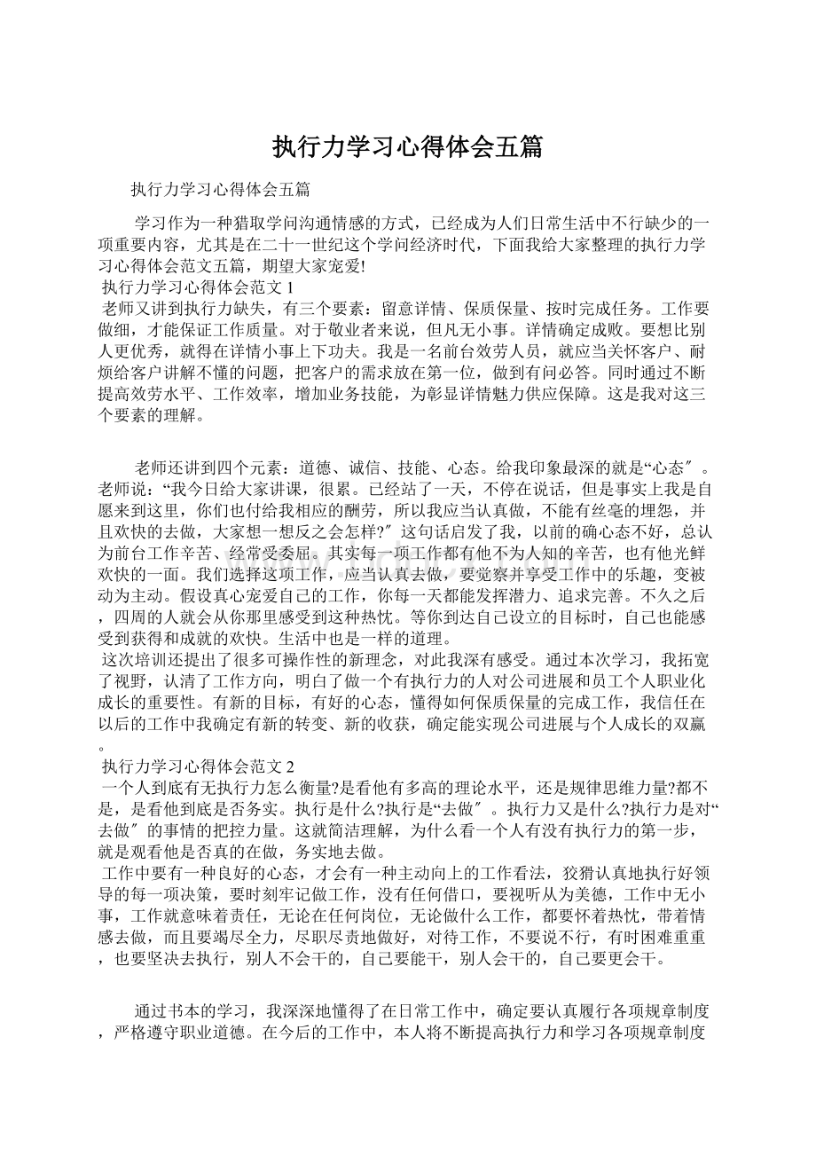 执行力学习心得体会五篇.docx