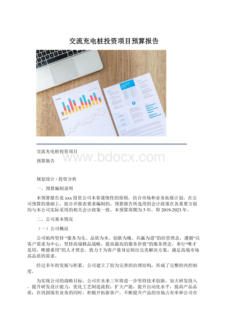 交流充电桩投资项目预算报告.docx_第1页