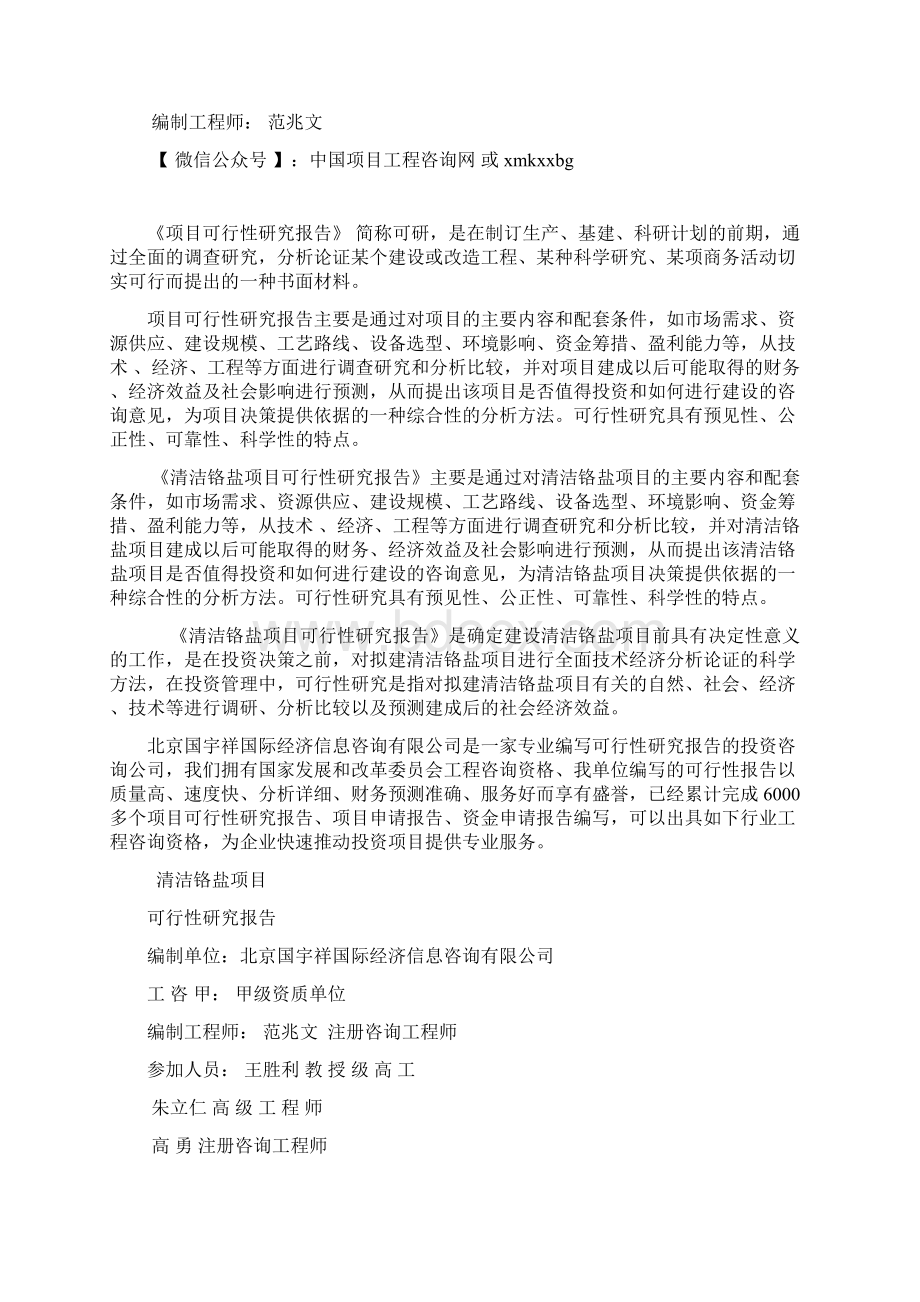 清洁铬盐项目可行性研究报告模板案例.docx_第2页