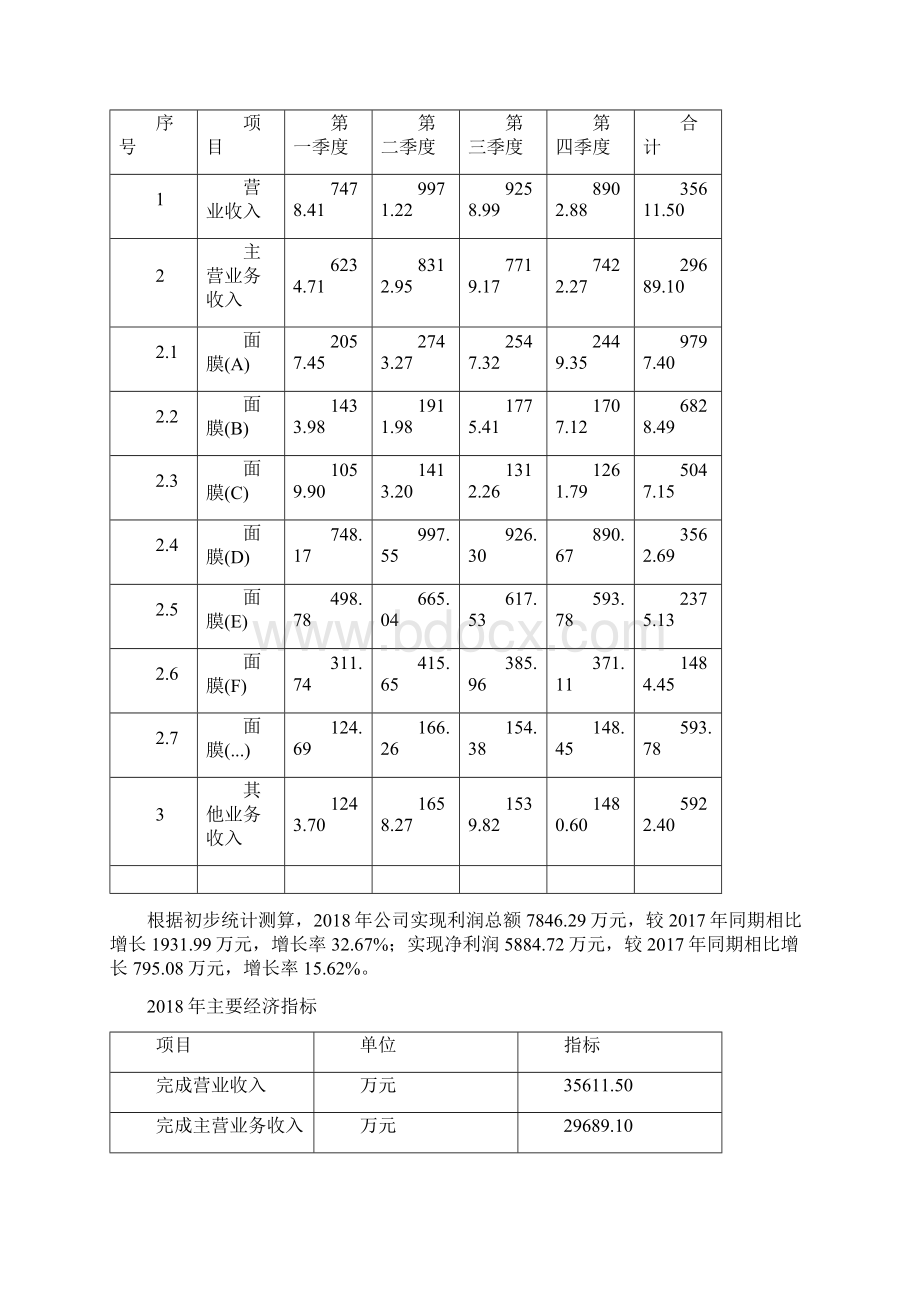 面膜项目年度预算报告.docx_第2页